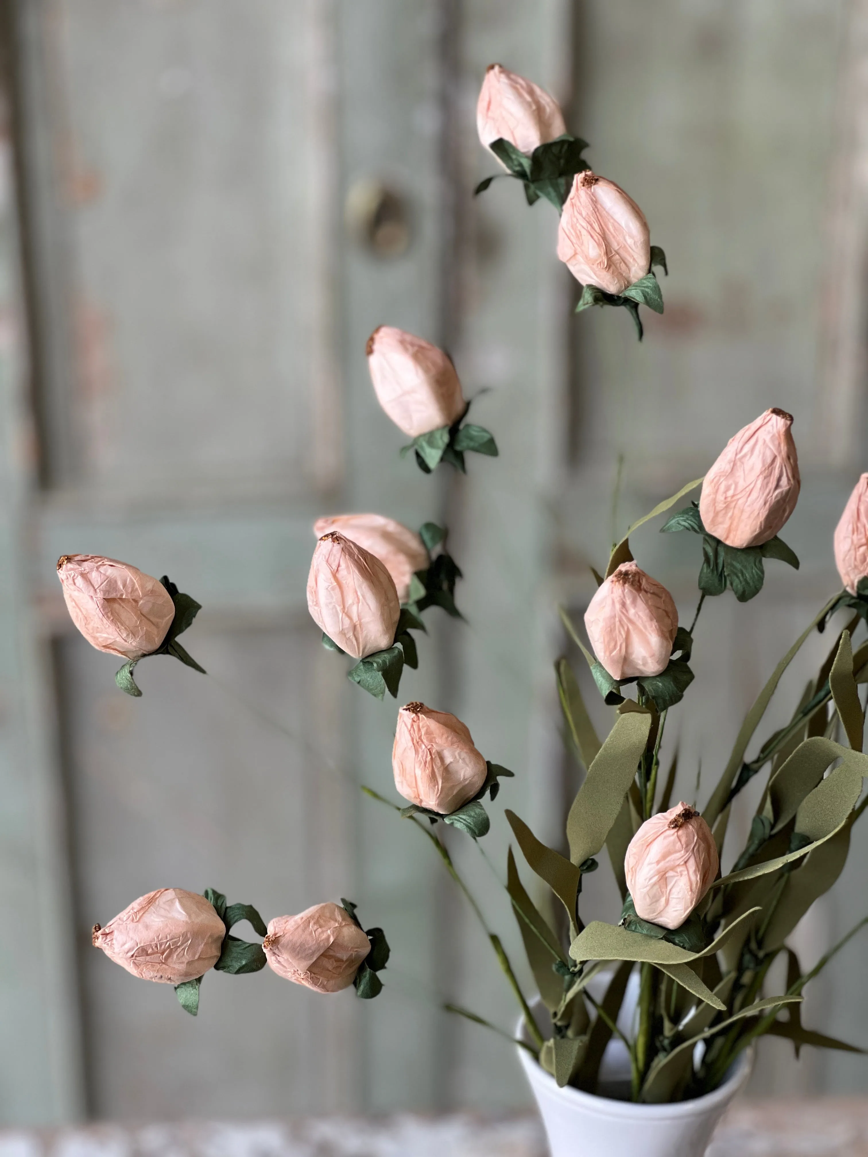 Lantern Buds | 23" | Blush
